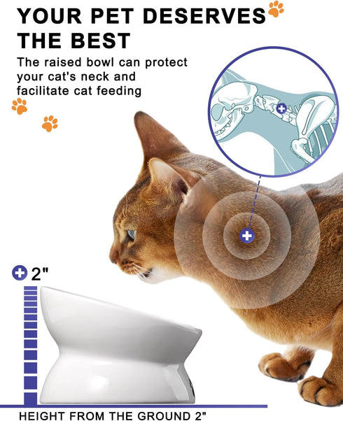 Y YHY Raised Cat Food Bowls, Anti Vomiting Tilted Elevated Ceramic Bowl for Flat Faced Cats, Small Dogs, Dishwasher Safe