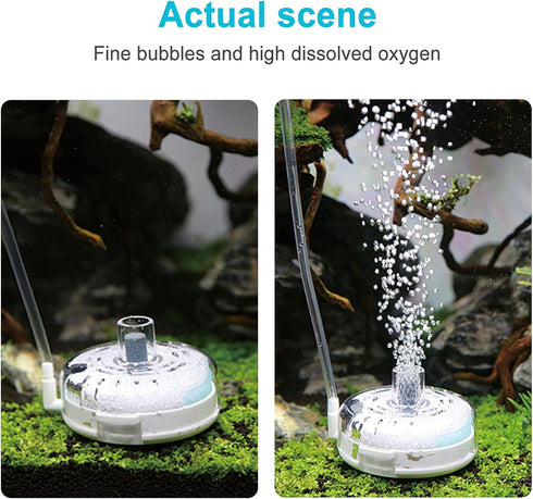 UPETTOOLS Mini Aquarium Sponge Filter, Detachable Submersible Filter with Air Stone for 5-8 Gallon Fish Tanks