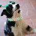 Elegant little tail Green Clover Dog Collar, St Patrick's Day Holiday Pet Collar, Adjustable Cute Puppy Collar for
