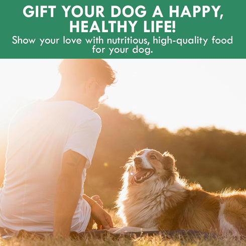 HOLISTIC BIN Canine Super Greens, Plant-Based Nutritional Dog Multivitamin for Skin, Coat, Bone & Digestive Health