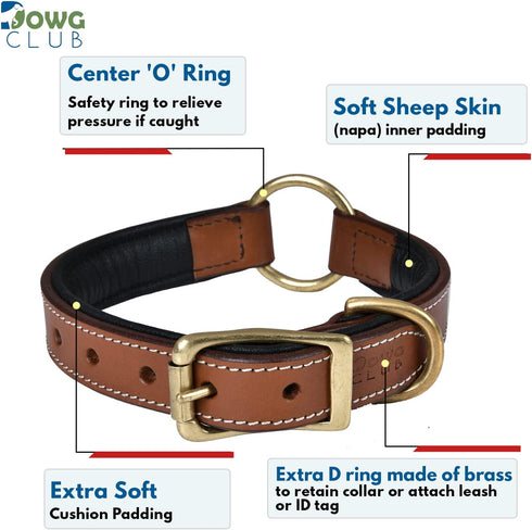 Genuine Leather Adventure Dog Collar, Full Grain Heavy Duty, Inner Cushioned Padding, Medium, Large & XL Dogs, Brown