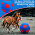 2 Pcs Mega Ball Cover for Large Balls, Protective Cover for Giant Horse Soccer Mega Herding Ball (30 Inch)