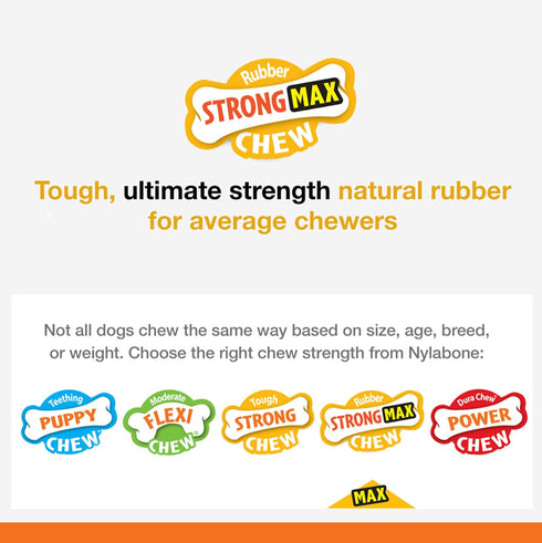 Nylabone Strong Chew Ring Braided Toy for Dogs, Beef Flavor, Medium/Wolf (1 Count)