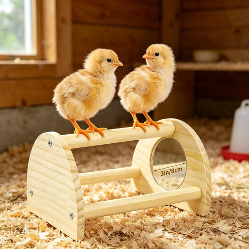Cubolar Pine Chicken Perch with Mirror, Strong Chick Jungle Gym Roosting Bar, Chicken Toys for Coop and Brooder