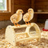 Cubolar Pine Chicken Perch with Mirror, Strong Chick Jungle Gym Roosting Bar, Chicken Toys for Coop and Brooder