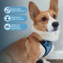 Voyager Step-in Lock Pet Harness by Best Pet Supplies - Adjustable All Weather Mesh for Cats and Dogs, Baby Blue/Black