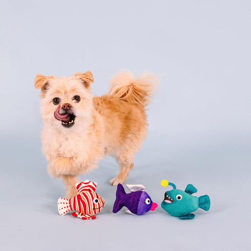 Fringe Studio Plush Dog Toy Set, Any Fin is Possible, Small 3 Piece Pet Shop Collection (662084)