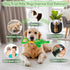 Plush Squeaky Dog Toy with Crinkle Paper and Tug of War Handle for Small Medium Large Dogs