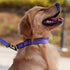 Hyhug Pets Reflective Dog Collar with Jacquard Weave Solid Color Nylon for Daily Walking and Training (Small, Ultra