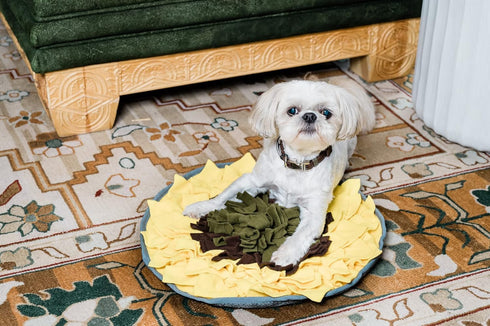 19 19, Snuffle Mat for Dogs Sunflower, Large Dog Snuffle Mat x Plush Enrichment Toy Slow Feeder, Mental Health Puppy