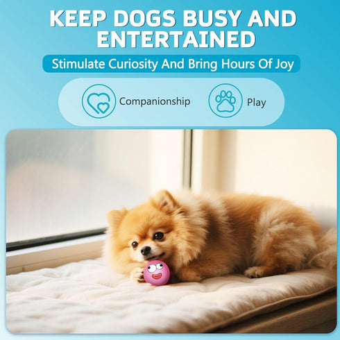 HDSX (8 Pack) Squeaky Dog Toys Soft Latex Rubber Squeaky Dog Balls for Puppy Small Pet Dogs (Round Balls)