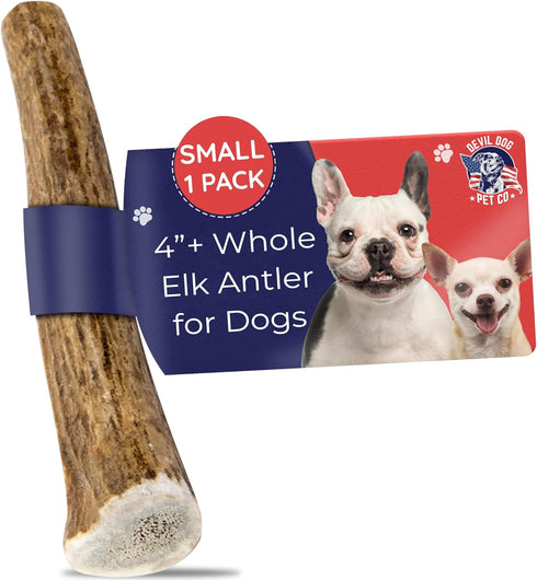 Devil Dog Pet Co. Elk Antlers for Dogs, Small 4"+, 1 Pack, Grade A Long Lasting Chew