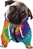 Howilath Dog Zipper Hoodie - Stylish Tie-Dye Spiral Colorful Rainbow Streetwear Hooded Apparel for Pets - L
