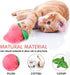 Cat Toys, Interactive Soft Durable Crinkle Sound Catnip Toys, Catnip Filled Mouse Cat Teething Chew Toy (Pack of 12)