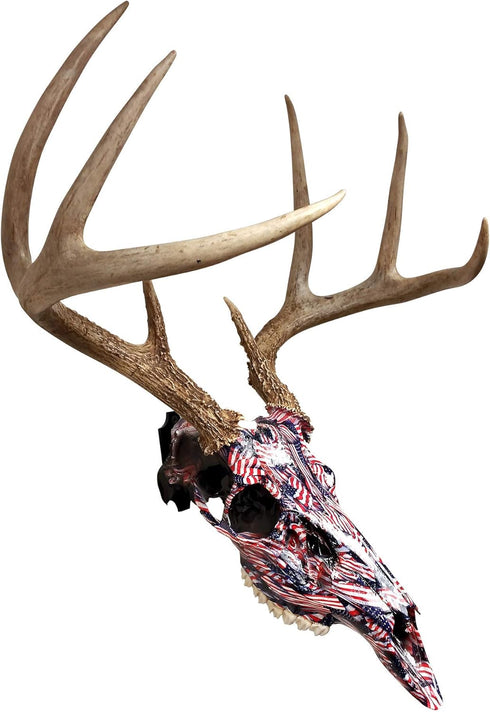 Heavy-Duty Alloy Steel European Skull Mount Hanger, 3 Pack (Black) for Whitetail Deer, Feral Hog, Bear & Exotic Skulls