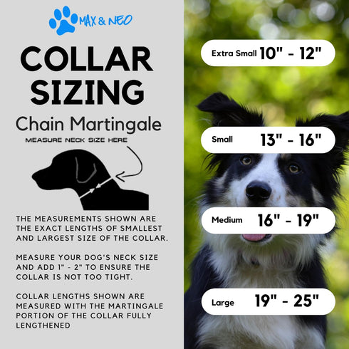 Max and Neo Stainless Steel Chain Martingale Collar - We Donate a Collar to a Dog Rescue for Every Collar Sold (X-Small, PURPLE)
