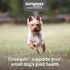 Omega-3s, 45 Count Nutramax Cosequin for Small Dogs, Joint Health Supplement, Contains Glucosamines, Chondroitin, MSM