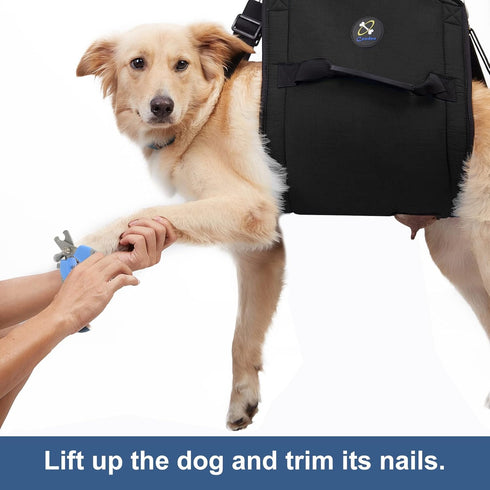 Emergency Dog Carry Sling, Pet Legs Support & Rehabilitation Harness for Senior Dogs with Joint Injuries (M, Black)