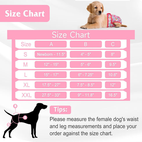 5 Pack Reusable Diapers for Doggie, Highly Absorbent Dog Diapers Female for Pet with Incontinence or Frequent