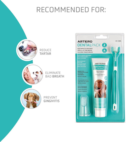 Pack ARTERO Dental Smile