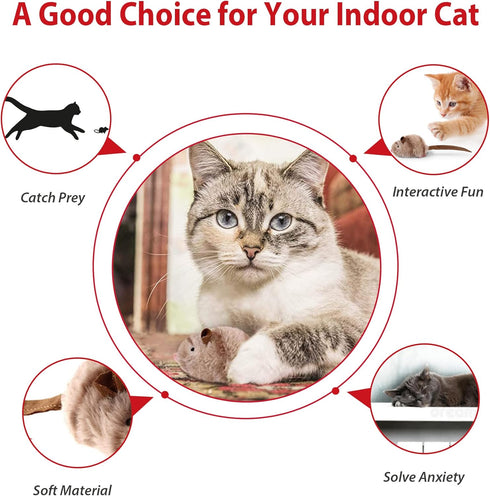 Gigwi Interactive Toy Set for Indoor Cats - 3PCS Plush Pack with Squeaky Feather, Mouse Hunt, Chase Bird, and Chirping