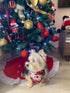 Dog Christmas Bandana Classic Buffalo Plaid Scarf, Triangle Bibs for Small Medium Large Dogs and Cats