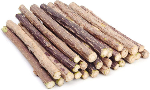 Silvervine Sticks Cat Toys - Natural Matatabi Catnip Chew Sticks for Teeth Cleaning (26 PCS)