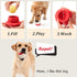 BiteKing Frozen Natural Rubber Long Lasting Interactive Dog Toys to Keep Them Busy, Freeze Enrichment Toys for Medium