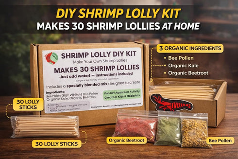 SHRIMPTASTIC AQUATICS Shrimp Lolly DIY Kit Freshwater Shrimp Food Making Kit for Aquarium Shrimp
