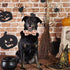 Thanksgiving Turkey Dog Collar Gift - Soft Bow Adjustable Metal Buckle Collar for Medium Dogs