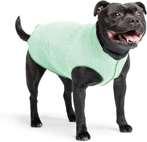 Goldpaw Sun Shield Tee for Dogs and Cats - UV Protection UPF50+, Cooling, Machine Wash, Quick Dry (Pistachio Green, 16)