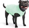 Goldpaw Sun Shield Tee for Dogs and Cats - UV Protection UPF50+, Cooling, Machine Wash, Quick Dry (Pistachio Green, 16)