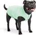 Goldpaw Sun Shield Tee for Dogs and Cats - UV Protection UPF50+, Cooling, Machine Wash, Quick Dry (Pistachio Green, 16)