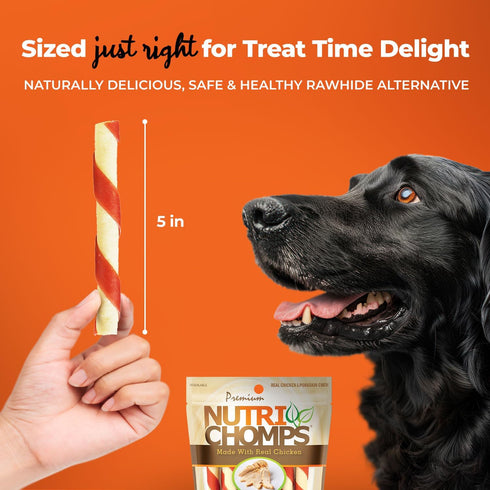 NutriChomps 5 inch Twists, Rawhide-Free Dog Treats, Healthy, 10 Count, Real Chicken Flavor