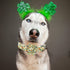 Elegant St. Patrick's Day Dog Collar with Flower, Green Clover Adjustable Dog Collar Pet Gift for Small Dogs