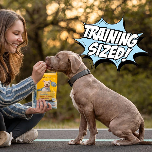 4 Pack Chippin Soft Dog Training Treats, Mini Bite Size Fish & Sweet Potato Dog Treats, Healthy Low Calorie Training
