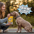 4 Pack Chippin Soft Dog Training Treats, Mini Bite Size Fish & Sweet Potato Dog Treats, Healthy Low Calorie Training