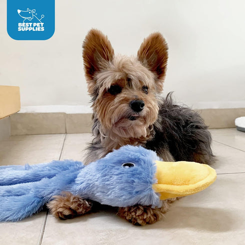 Best Pet Supplies Crinkle Dog Toy for All Breeds, Cute No Stuffing Duck with Soft Squeaker, Large, Yellow