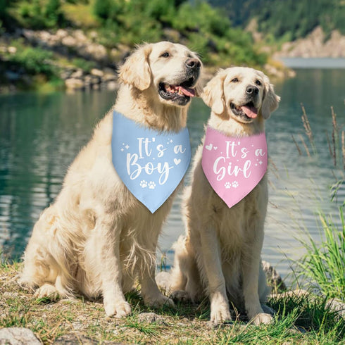 Luptiteuy 2 Pack It's a Boy It's a Girl Baby Announcement Dog Bandana Gender Reveal boy and Girl Pregnancy Announcement