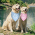 Luptiteuy 2 Pack It's a Boy It's a Girl Baby Announcement Dog Bandana Gender Reveal boy and Girl Pregnancy Announcement