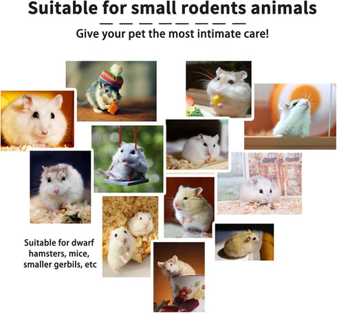 Set Hamiledyi Dwarf Hamster Activity Playground Natural Wood Gerbil Climbing Platform Mice Living Gym System Syrian