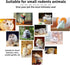 Set Hamiledyi Dwarf Hamster Activity Playground Natural Wood Gerbil Climbing Platform Mice Living Gym System Syrian