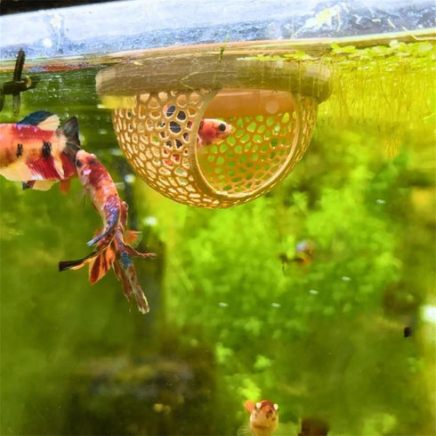 NIHUIFA Hammock Floating Fish Resting Platform Hide Shrimp Cave Shrimp Feeding for Aquarium Fish