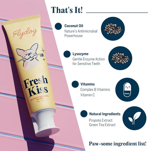 360 FlyDog Fresh Kiss Dog Tooth Brushing Kit - Vet Approved Formula, Enzymatic Dog Toothpaste and Brush - Breath