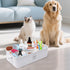 4-Compartment Premium Dog Grooming Organizer,Metal Caddy for Pet Stuff with Handle-Powder Coated Storage Bin for Dog
