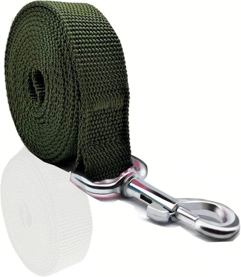 Nylon Dog Leash, 10 Feet Long, Walking Training Leash for Medium Large Dogs, 1 Inch Wide, Green