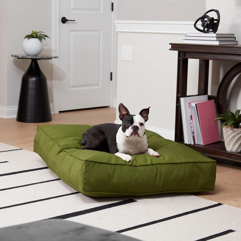 Casey Medium Indoor/Outdoor Pillow Style Dog Bed, 42 x 30 in., Hunter