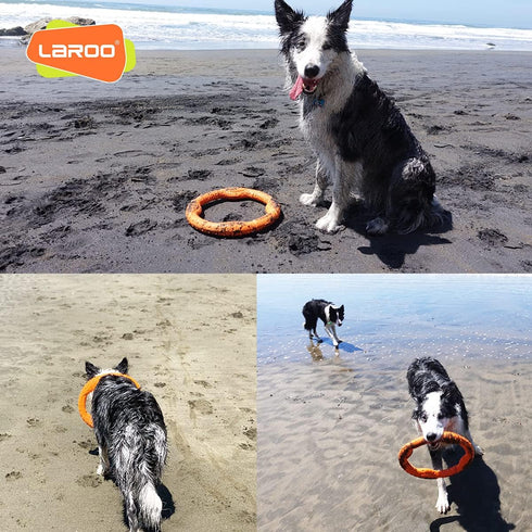 LaRoo Floating Flying Dog Disc Toys, Summer Pet Training Outdoor Chew Toys for Medium and Large Dogs (Large Orange/30cm)