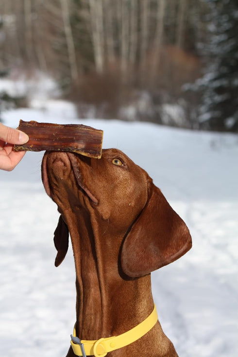 100% 4 Cadet Beef Strip Long Lasting Chews for Dogs, Single Ingredient Beef Esophagus Dog Treats, Natural High Protein