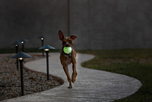 JJ03 3" Jolly Pets GLOW Jumper Pet Toy Balls, Small